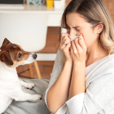 9 Steps You Need to Take if You Want to Make Your Home Hypoallergenic