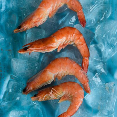 The Seafood Lover’s Guide to Seasonal Shopping