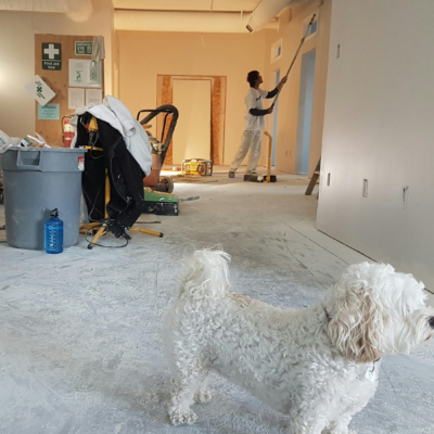 Preparing Your Home for a Major Renovation